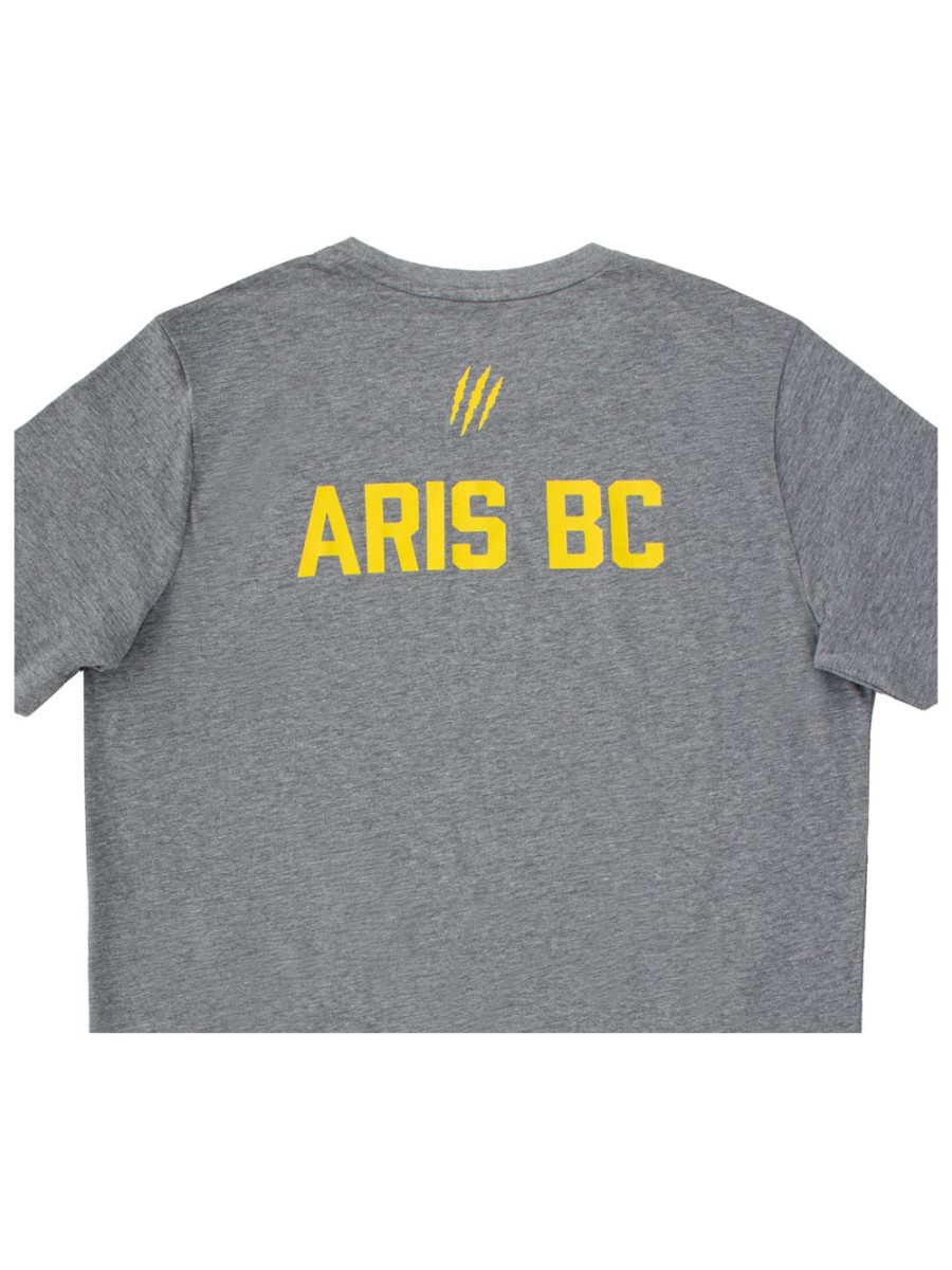 Puma Unisex κοντομάνικη μπλούζα x Aris B.C. teamGOAL Casual T-Shirt